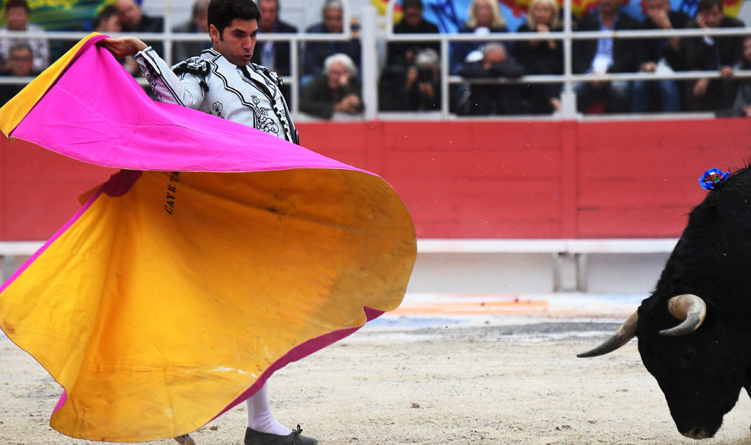 La Corrida : pas une fête pour tous